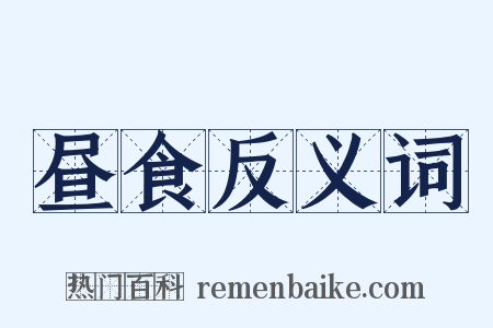 昼食反义词是什么意思的图片